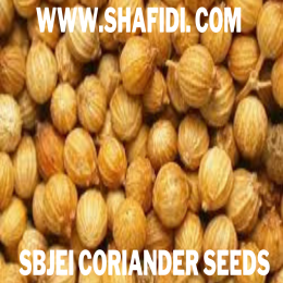 CORIANDER SEEDS